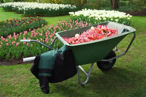 12 Best Wheelbarrows Buying Guide And Reviews Compare And For Sale 2019