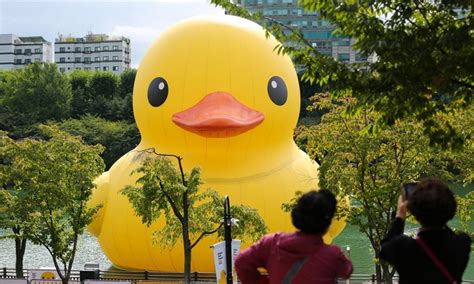 World Famous Rubber Duck Returns To Seoul Global Times