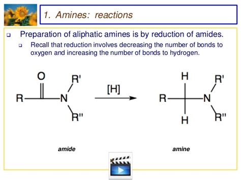 Amines And Amides