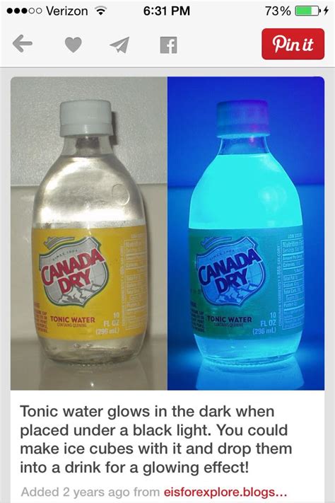 How To Make Quinine Tonic Water Whcum