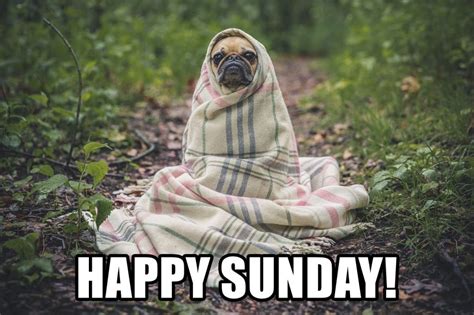 50 Funny Happy Sunday Memes That Are Perfect For Lazy Sundays