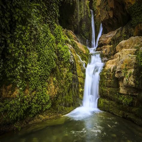 Laeacco Fairytale Flowers Tree Waterfall Lake Scenic Baby Photography