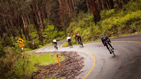 7 Peaks Ride Lake Mountain Attraction Yarra Valley And Dandenong