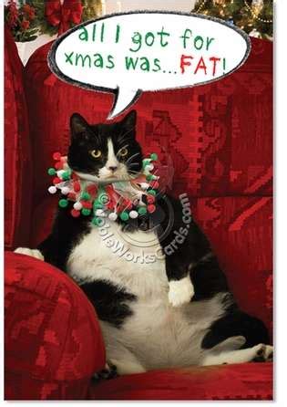 Box of 16 christmas cats & dogs photographic christmas cards boxed xmas. Fat Cat Christmas Greeting Card|Nobleworks