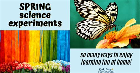 Spring Science Experiments For Super Fun With Your Kids