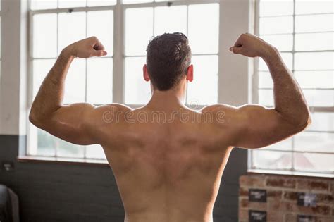 Rear View Of Muscular Man Flexing Stock Image Image Of Adult Rear