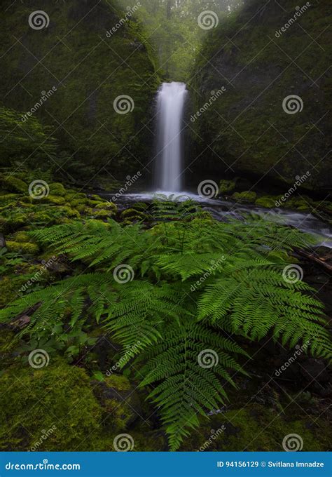 Mossy Grotto Falls At Columbia River Gorge Stock Image Image Of