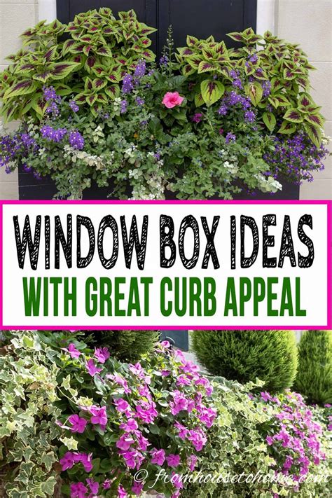 A window box spilling over with colorful annuals provides a bright splash of color and texture in the outdoor environment. Flower Box Ideas: 10 Ways To Create Beautiful Window Boxes ...