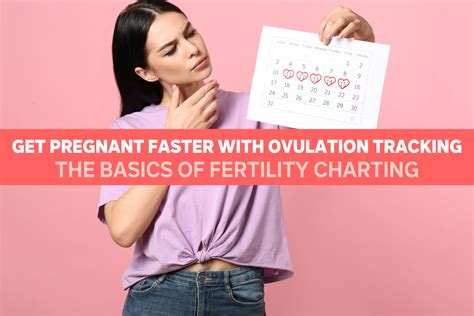 Get Pregnant Faster With Ovulation Tracking The Basics Of Fertility C Seeking Health