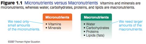 Deficits or excesses of any of these nutrients may compromise these processes, resulting in poor health outcomes, which vary depending on the macronutrient in question and the life stage of the. Macronutrients and Micronutrients | Diet Database