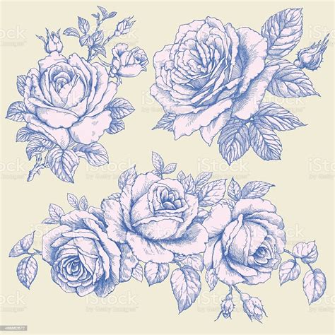 Roses Stock Illustration Download Image Now Rose Flower