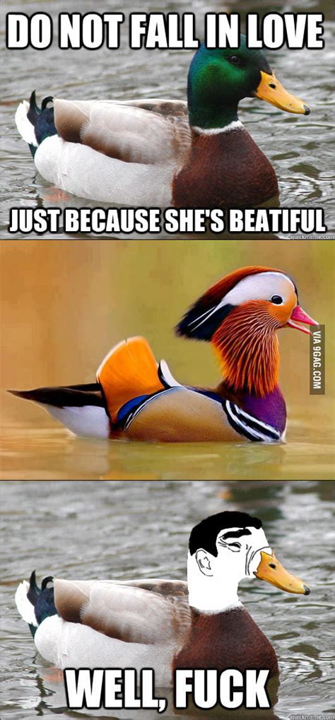 Even Actual Advice Mallard Have His Problems 9gag