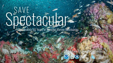 50th Anniversary Noaa Office Of National Marine Sanctuaries