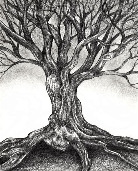 Tree Sketching Drawing By Alex Soto Pixels