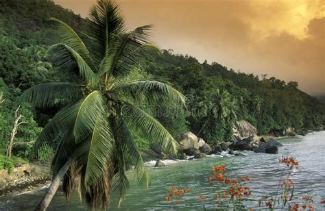 Indian Ocean Seychelles Mahe Beach Stock Image Image Of Seychelles