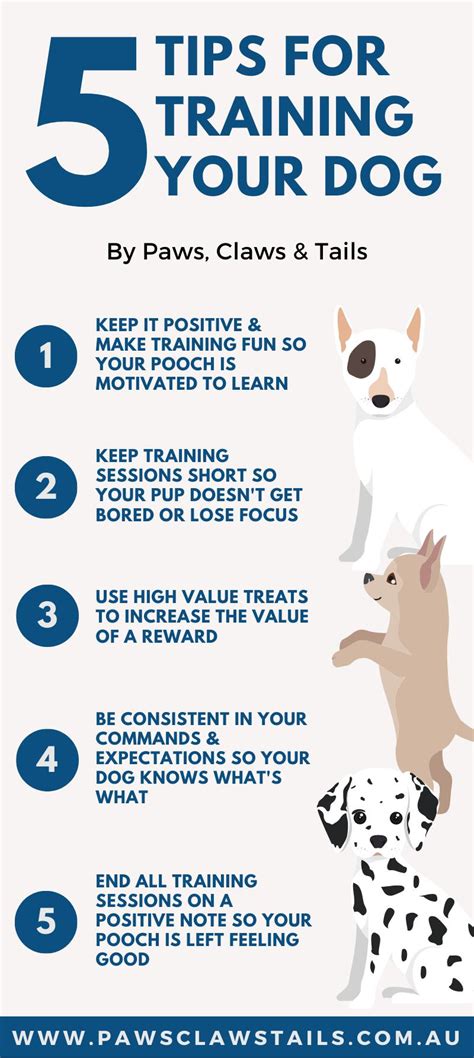 How Do I Teach My Dog Basic Commands