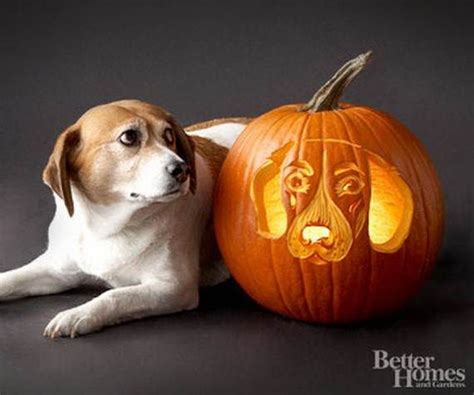 70 Cool Easy Pumpkin Carving Ideas For Wonderful Halloween Day Dog