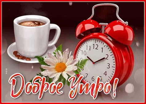 Check spelling or type a new query. Открытка доброе утро универсальная - Скачать бесплатно на ...