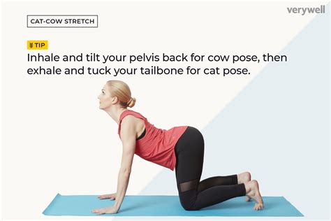 Katie, i call my cow cat piggie, pigley, piggy cat. How to Do Cat-Cow Stretch (Chakravakasana)