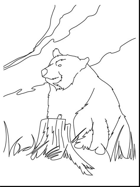 Bear Paw Print Drawing At Getdrawings Free Download