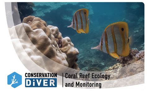 Coral Reef Ecology And Monitoring Conservation Diver