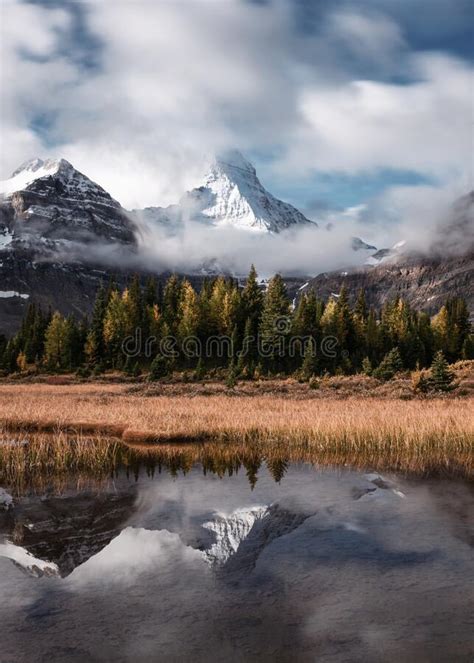 Mount Assiniboine With Autumn Forest Reflection On Lake Magog At