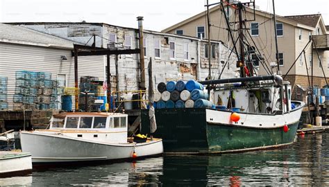 Commercial Fishing Boats Docked Behind Buildings With Colorful Lobster
