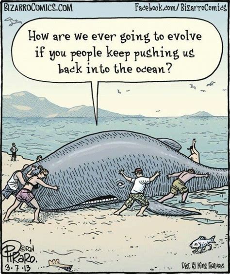 Evolution Funny Pictures Funny Cartoons Bizarro Comic