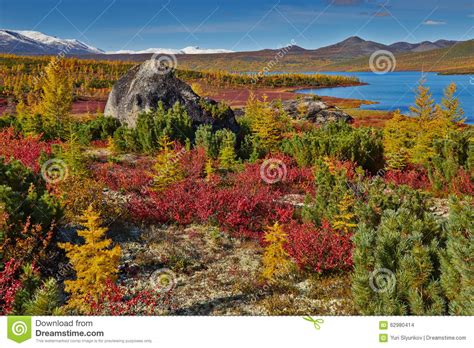 Autumn Jack London S Lake Stock Photo Image Of Jack 62980414