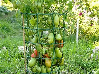 Check spelling or type a new query. Heavy Duty Rigid Plastic Tomato Cages - Defense Against ...