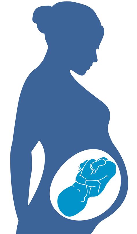 Pregnancy Woman Clip Art Pregnant Woman Vector Png Tr