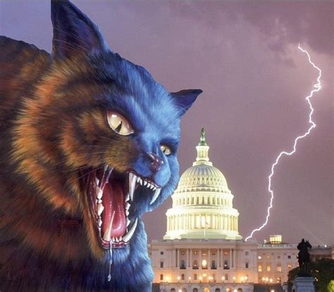 Dc The Washington Demon Cat By Triassiclane On Deviantart