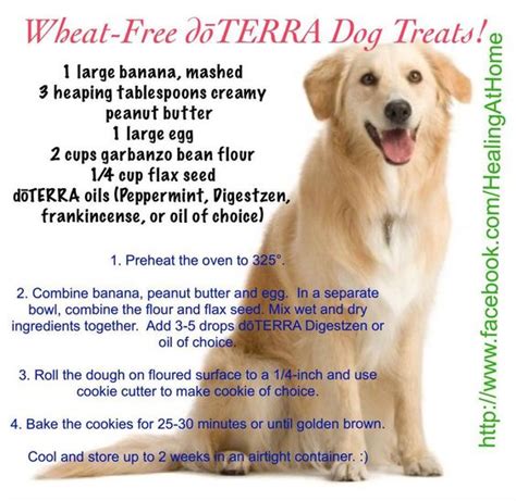 The top natural remedies for fleas on cats and which essential oils are toxic for felines. Dog Treats with essential oils. | Love A Bull | Pinterest ...