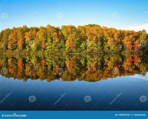 Lush Fall Colored Trees Reflection In Blue Lake Water Stock Image
