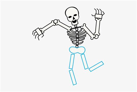 Skeleton Line Drawing At Explore Collection Of