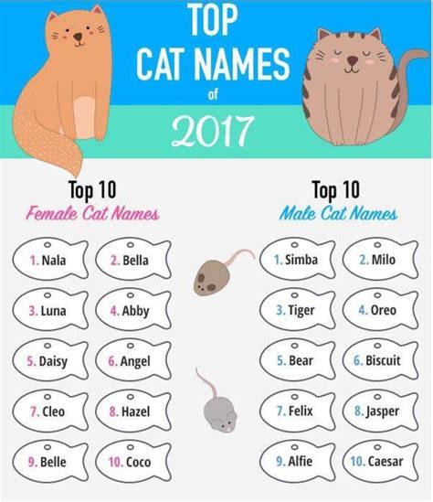 Most Popular Cat Names Of 2017 Have A Disney Influence Tapinto