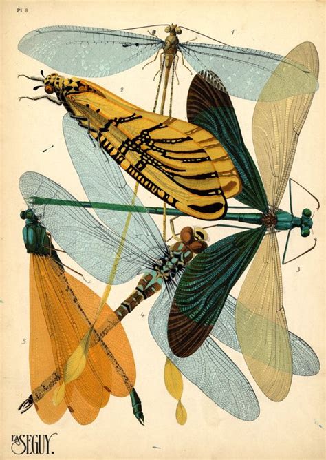 Treasures Dragonflies Insects Art Nouveau Art Deco 1930 Wings Of A