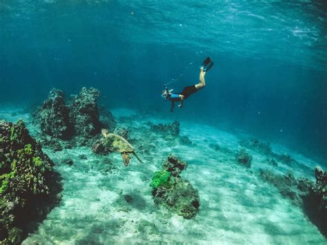 Best Snorkeling Spots In Miami For Exploring Marine Life