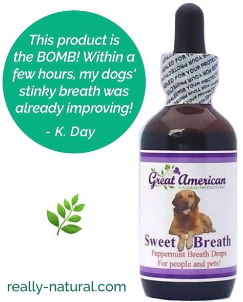 Freshen Bad Breath Naturally And Safely With Chlorophyll Concentrate