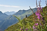 Panoramaweg Wiedersberger Horn • Wanderung » outdooractive.com