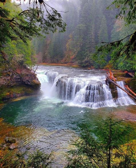 A Waterfall In The Middle Of A Forest Filled With Lots Of Green And