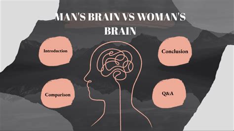 Male Vs Female Brain By Vio Bily On Prezi