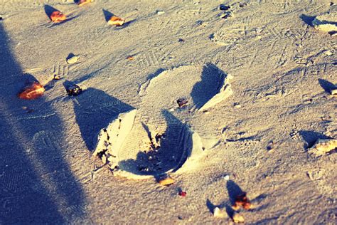 Footprints In The Sand By Ahhitsmegan On Deviantart