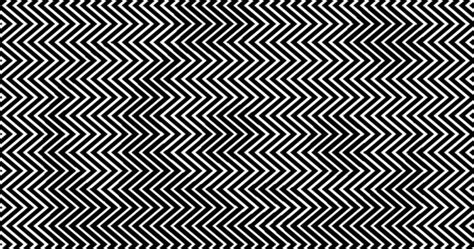 Optical Illusion Of The Day Panda Illusion Common Sense Evaluation