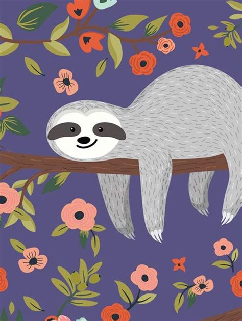 Cute Sloth Wallpapers Bigbeamng