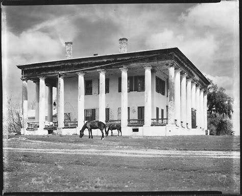 Walker Evans Greenwood Plantation House With Horses Grazing