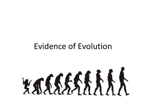 Evidence Of Evolution Biology