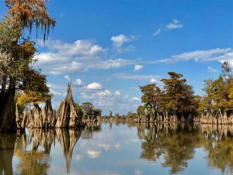 Protecting The Apalachicola A National Treasure The National