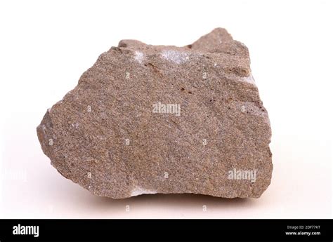 Sandstone Is A Clastic Sedimentary Rock Rich On Quartz Sample Stock