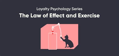 😝 Law Of Effect Example What Is The Law Of Effect 2022 10 10